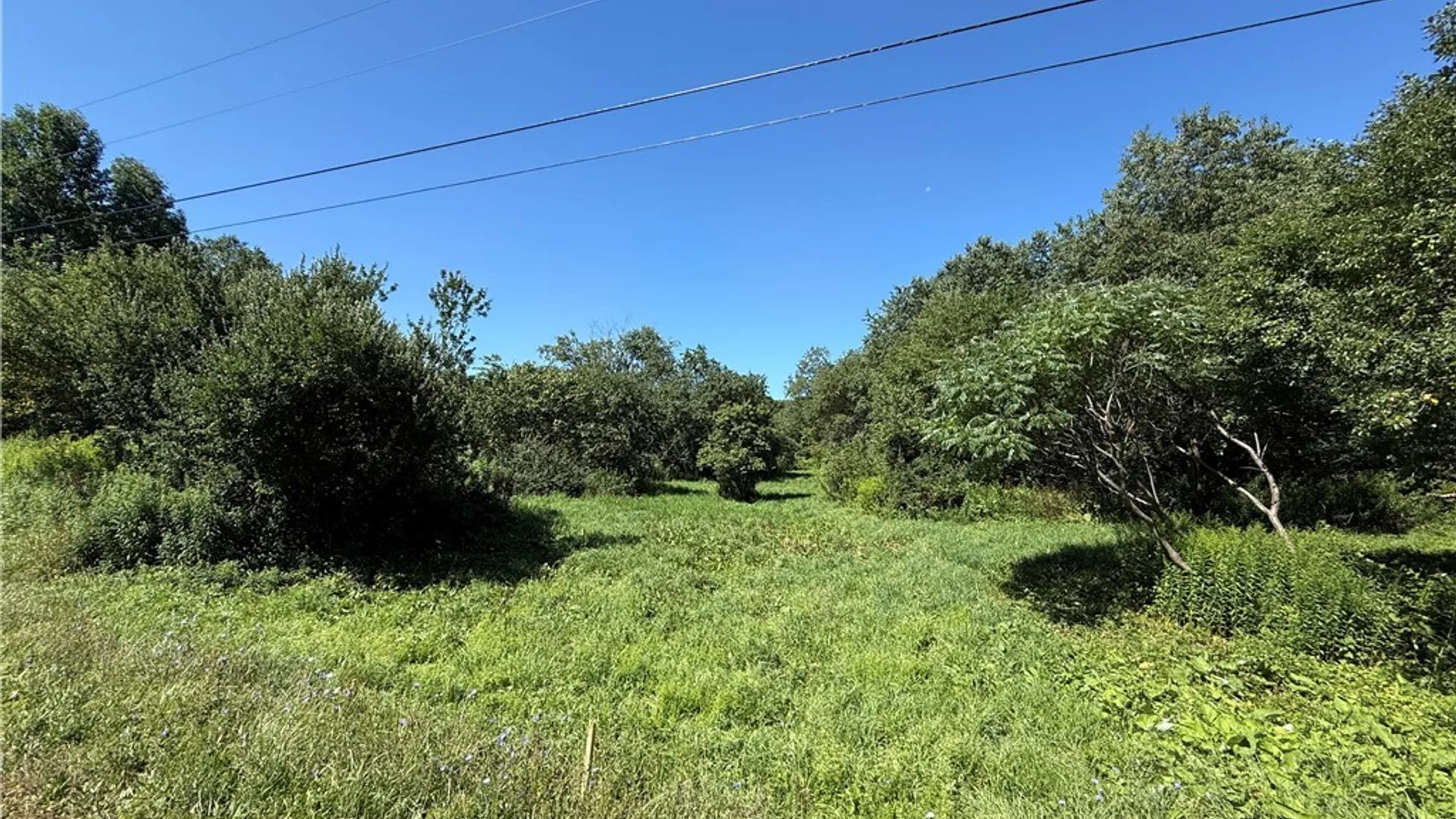 Property at French Settlement Road, Lorraine, NY 13659 11