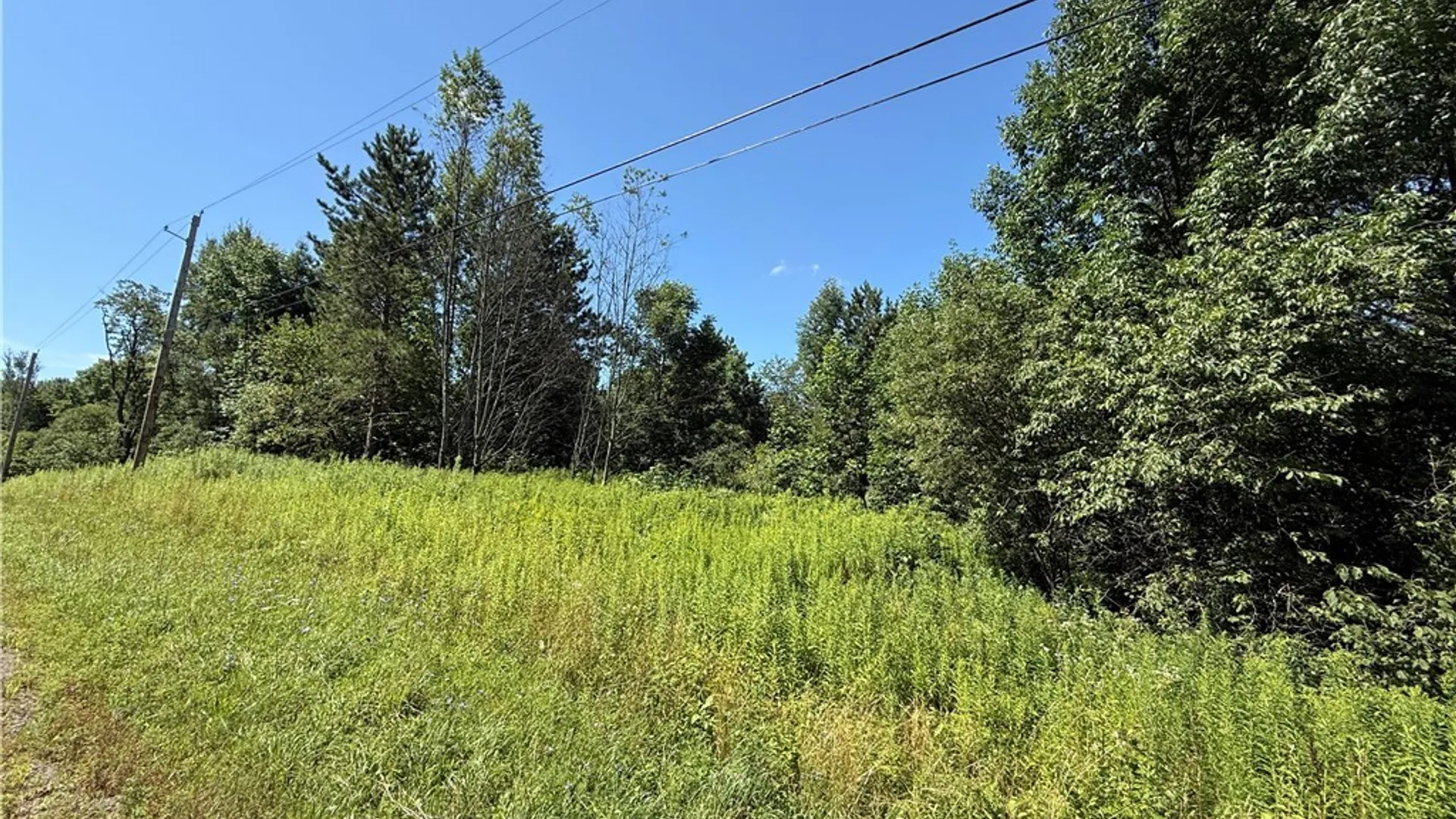 Property at French Settlement Road, Lorraine, NY 13659 12