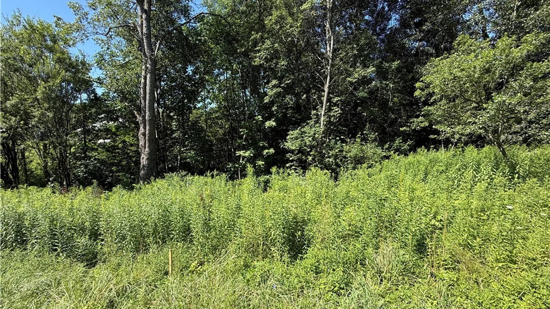 Property at French Settlement Road, Lorraine, NY 13659 13