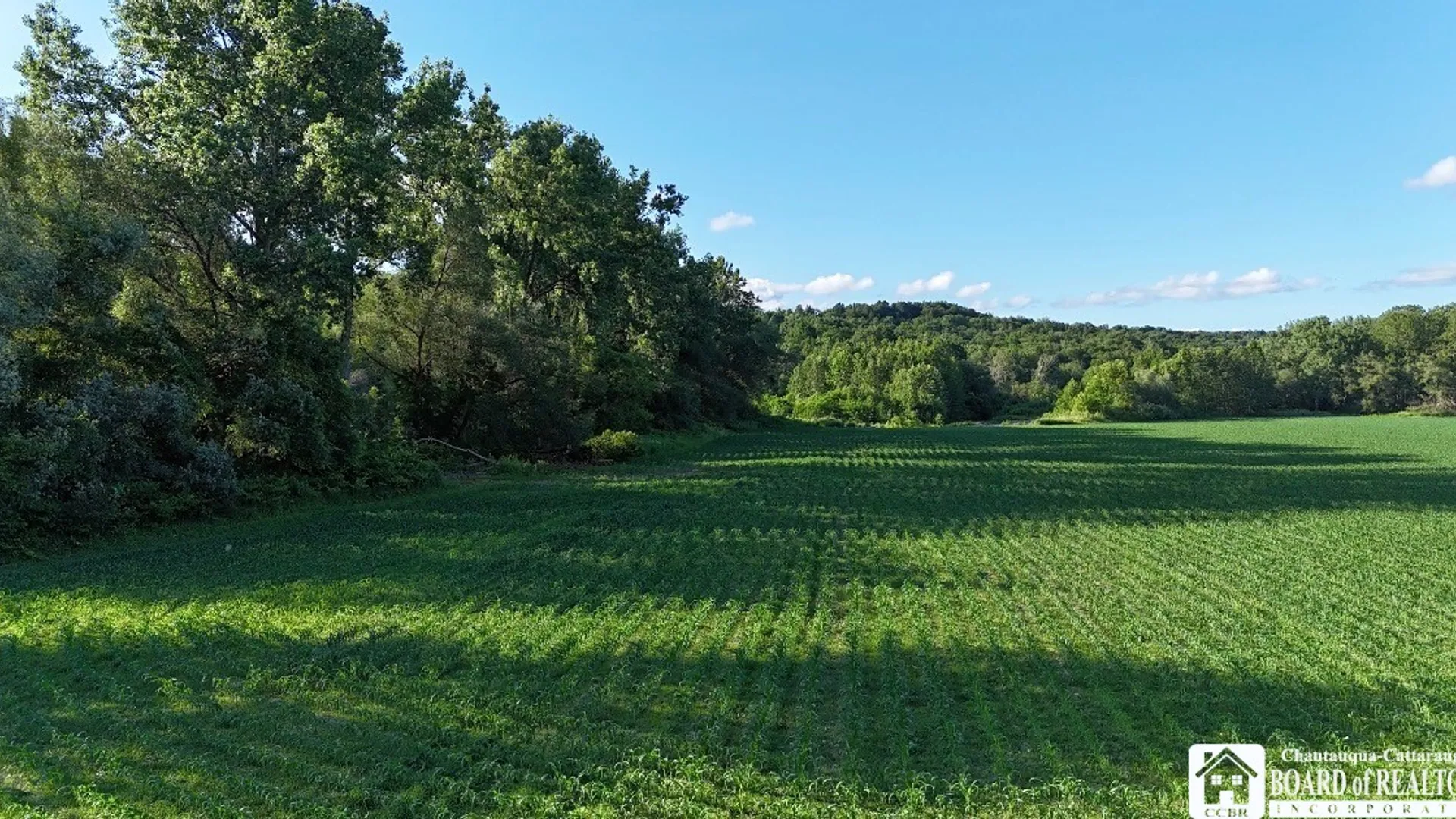 Property at 6558 Thomas Corners Rd, Ashford, NY 14171 19
