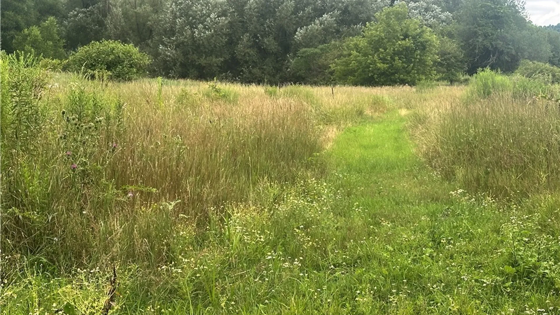 Property at 6558 Thomas Corners Rd, Ashford, NY 14171 32