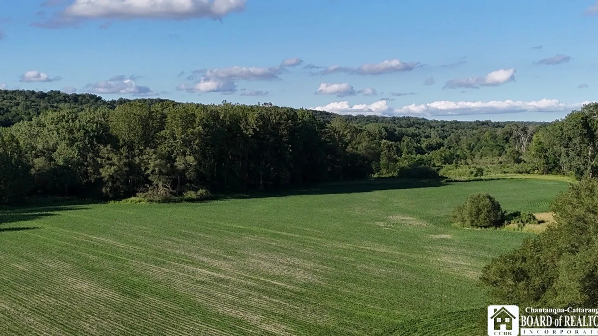 Property at 6558 Thomas Corners Rd, Ashford, NY 14171 4