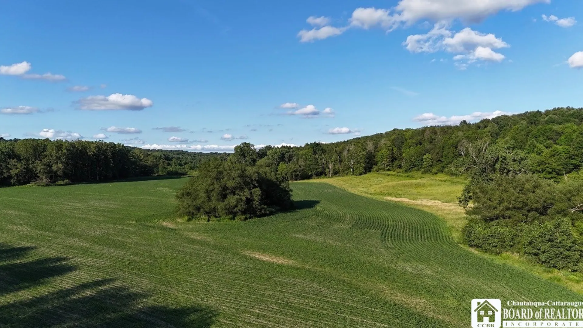 Property at 6558 Thomas Corners Rd, Ashford, NY 14171 5