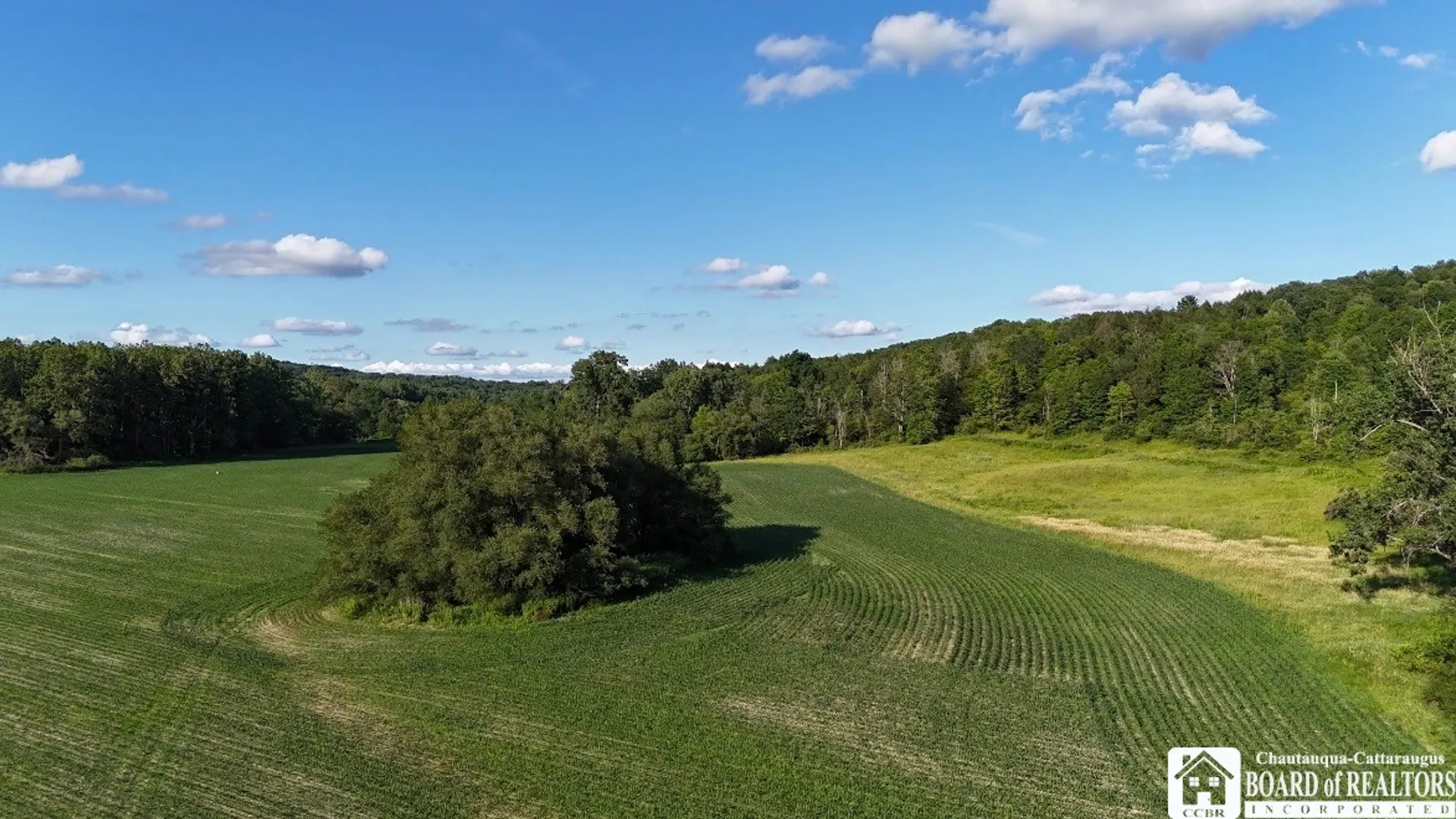 Property at 6558 Thomas Corners Rd, Ashford, NY 14171 7