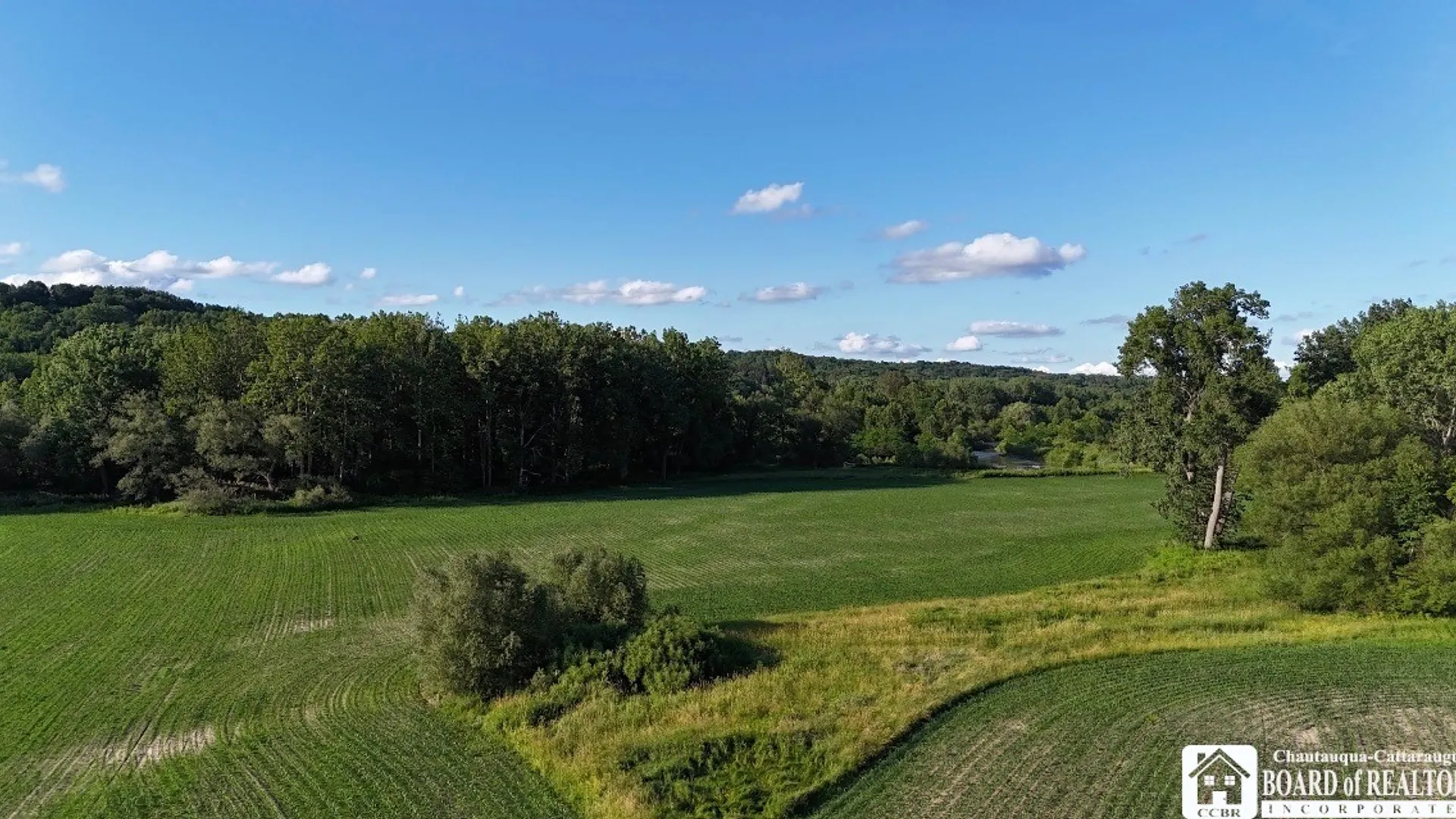 Property at 6558 Thomas Corners Rd, Ashford, NY 14171 13