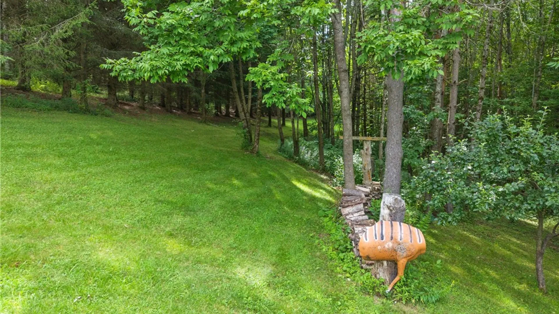 Property at 959 County Highway 39, Worcester, NY 12197 48