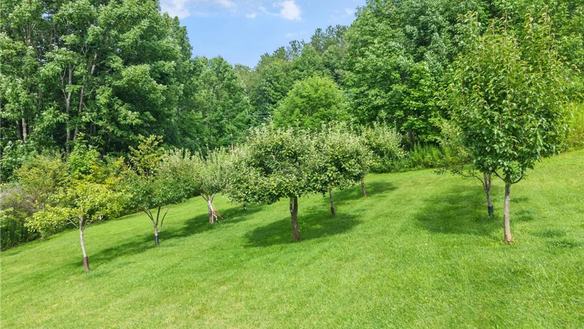 Property at 959 County Highway 39, Worcester, NY 12197 49