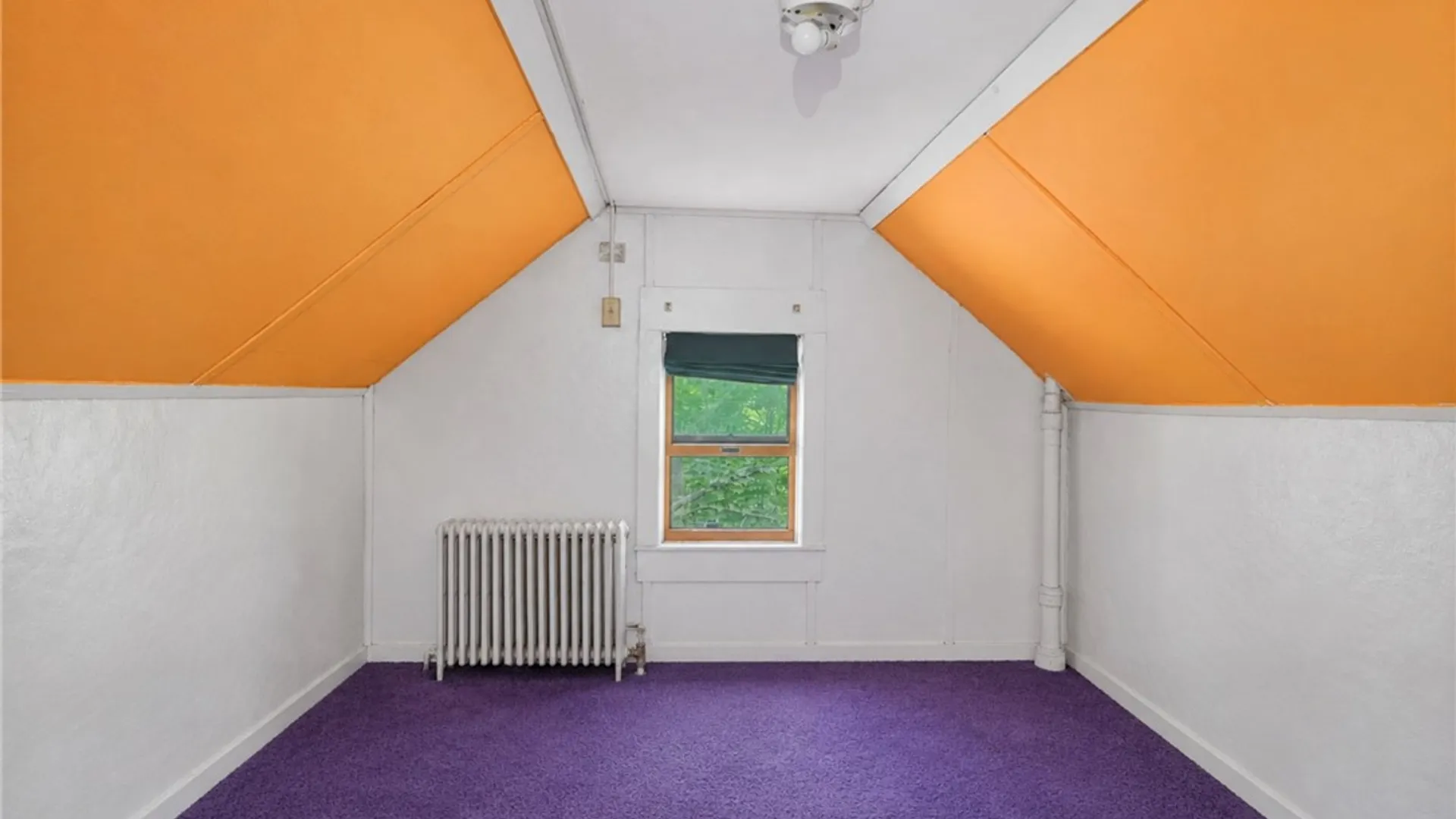 Property at 121 Elm Street, Ithaca City, NY 14850 44