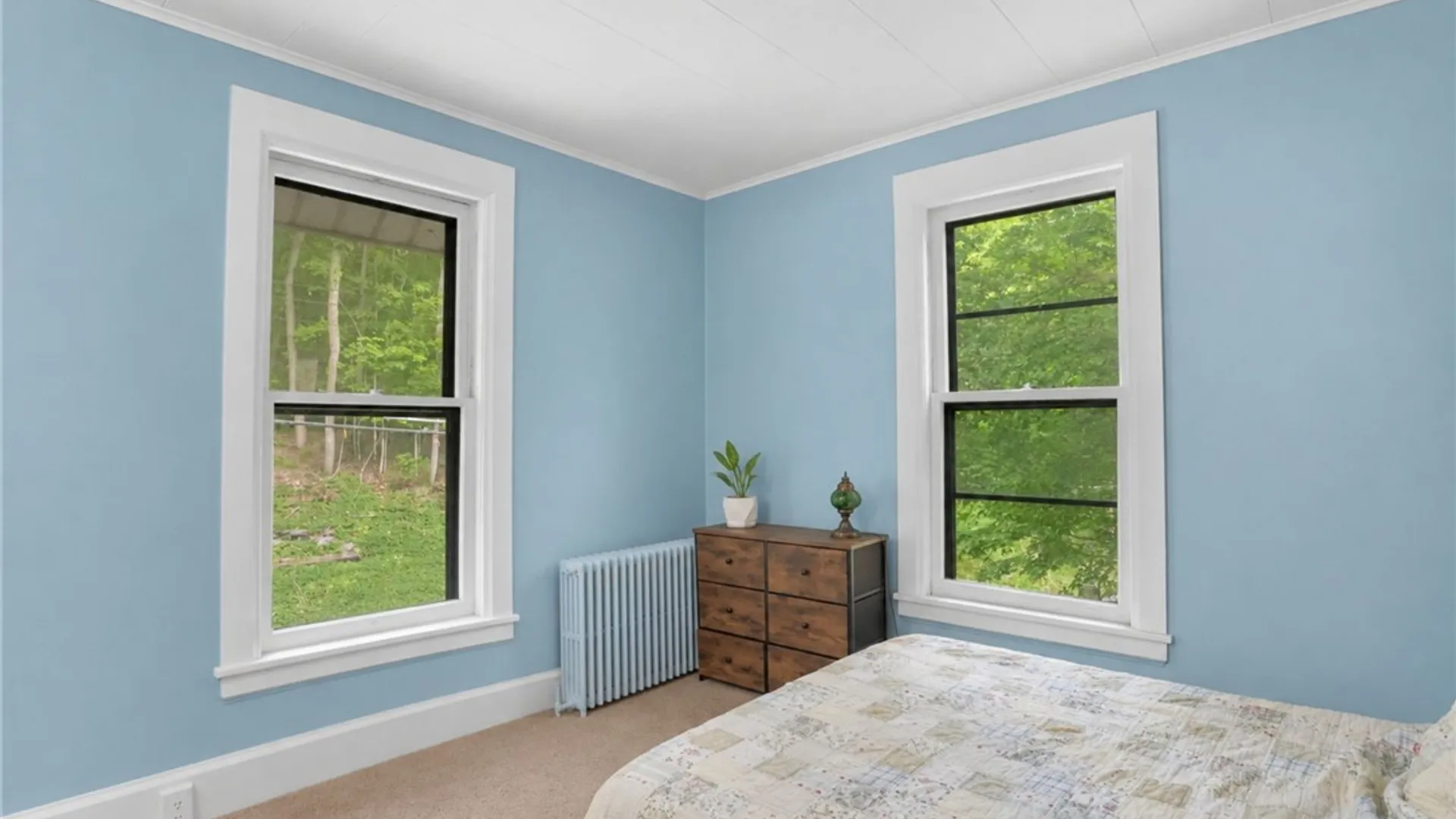 Property at 121 Elm Street, Ithaca City, NY 14850 38