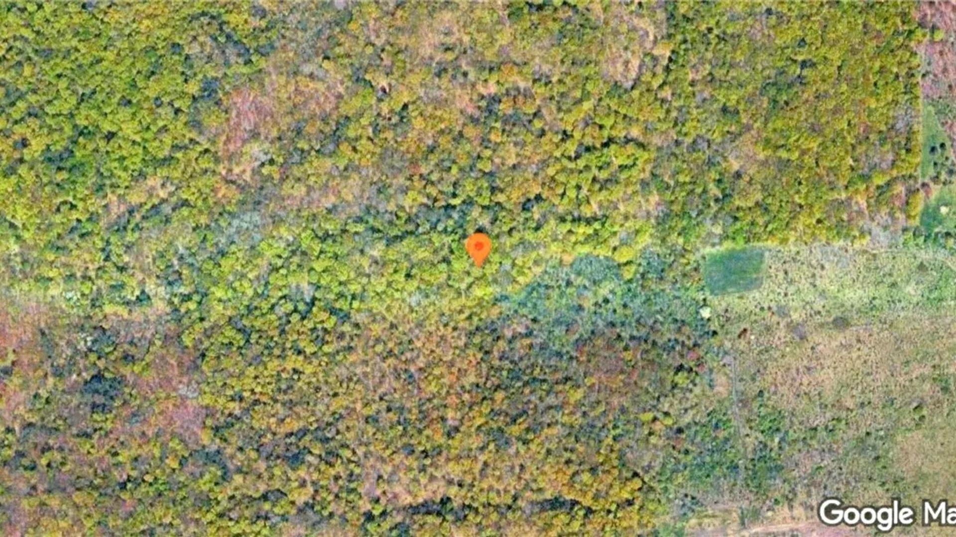 Property at 9886 Route 219, Ashford, NY 14171 3
