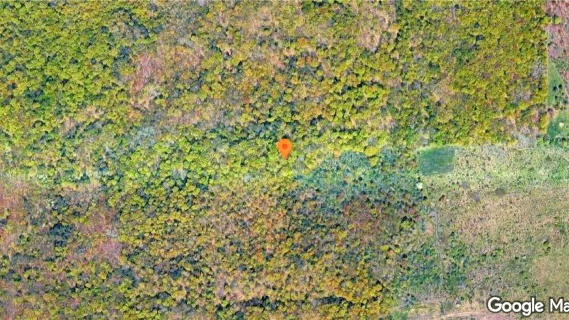 Property at 9886 Route 219, Ashford, NY 14171 4