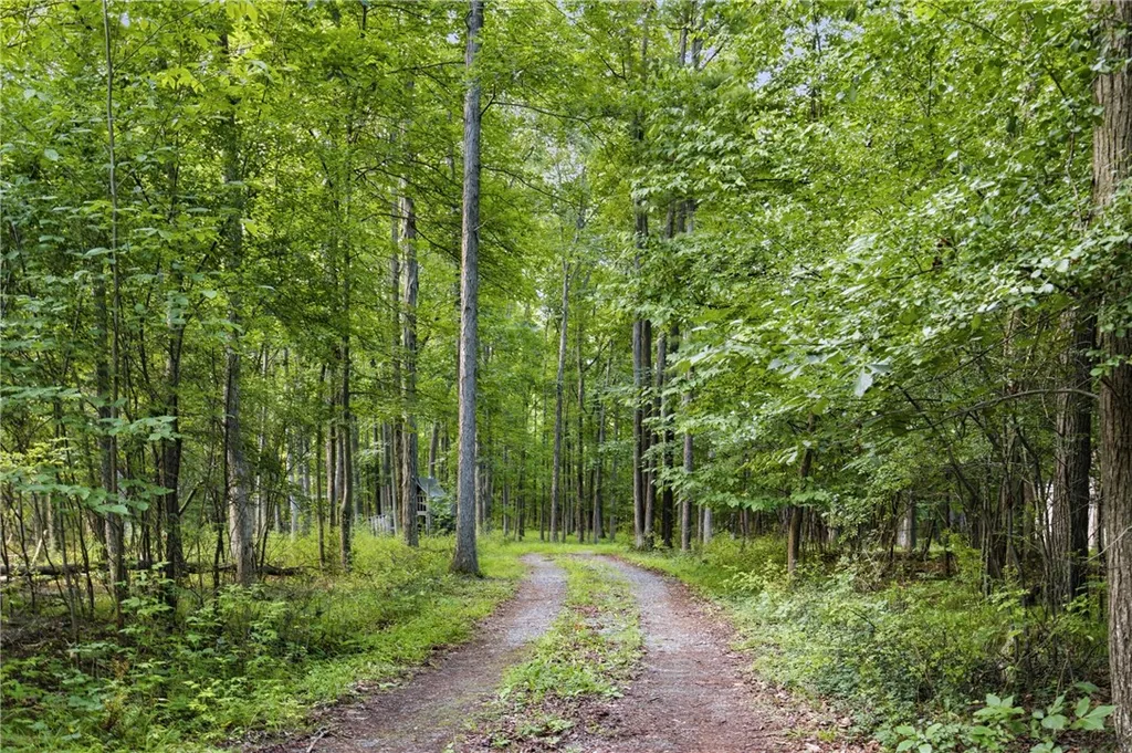 Property at 9400 Keuka Highland Dr {Silsbee Rd}, Wayne, NY 14840
