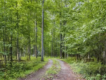 Property at 9400 Keuka Highland Dr {Silsbee Rd}, Wayne, NY 14840