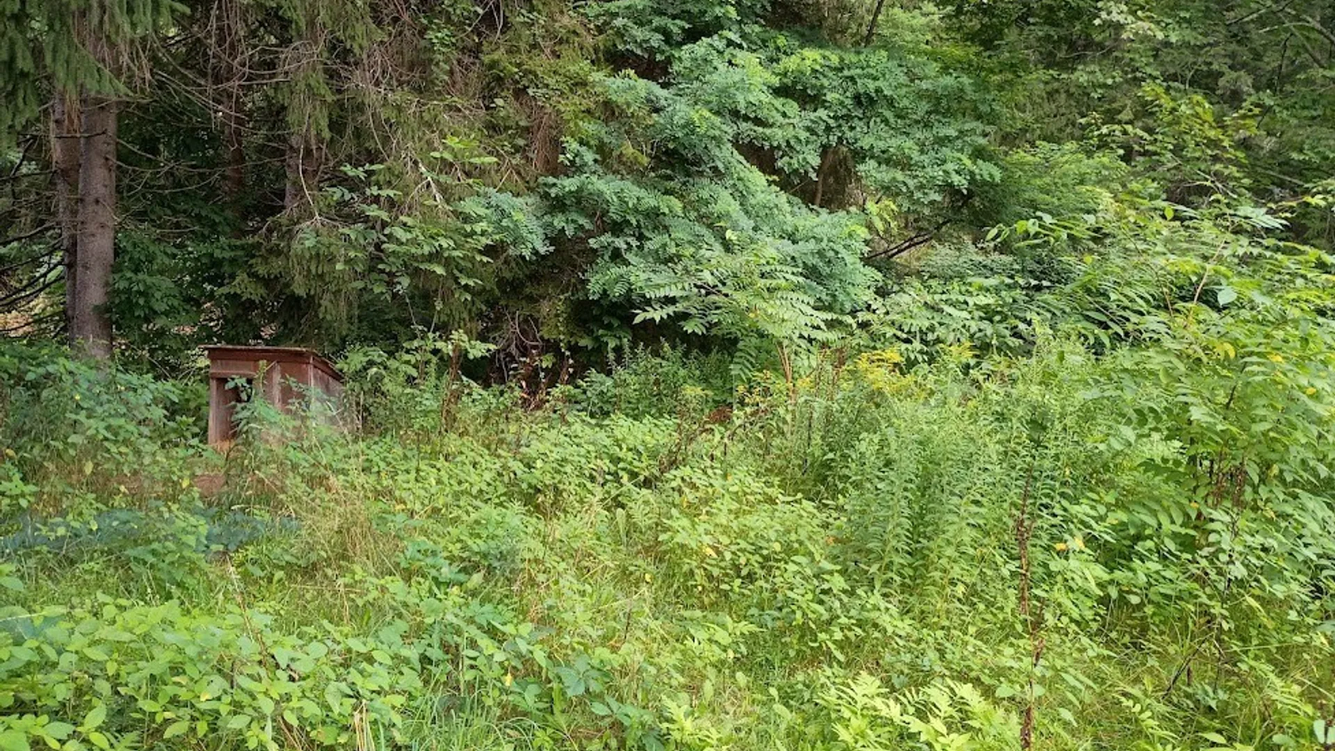 Property at 9 Glenmary Drive, Tioga, NY 13827 4