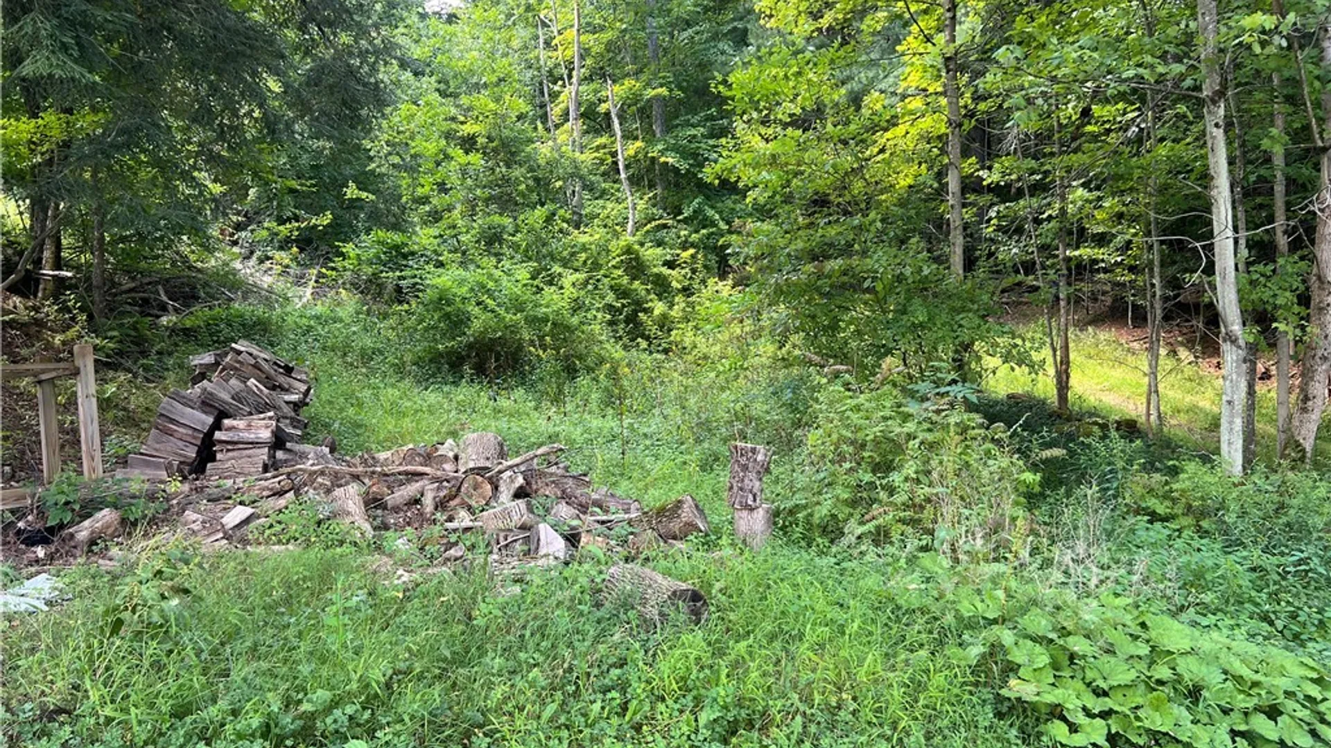 Property at 5738 State Route 417, Scio, NY 14895 35