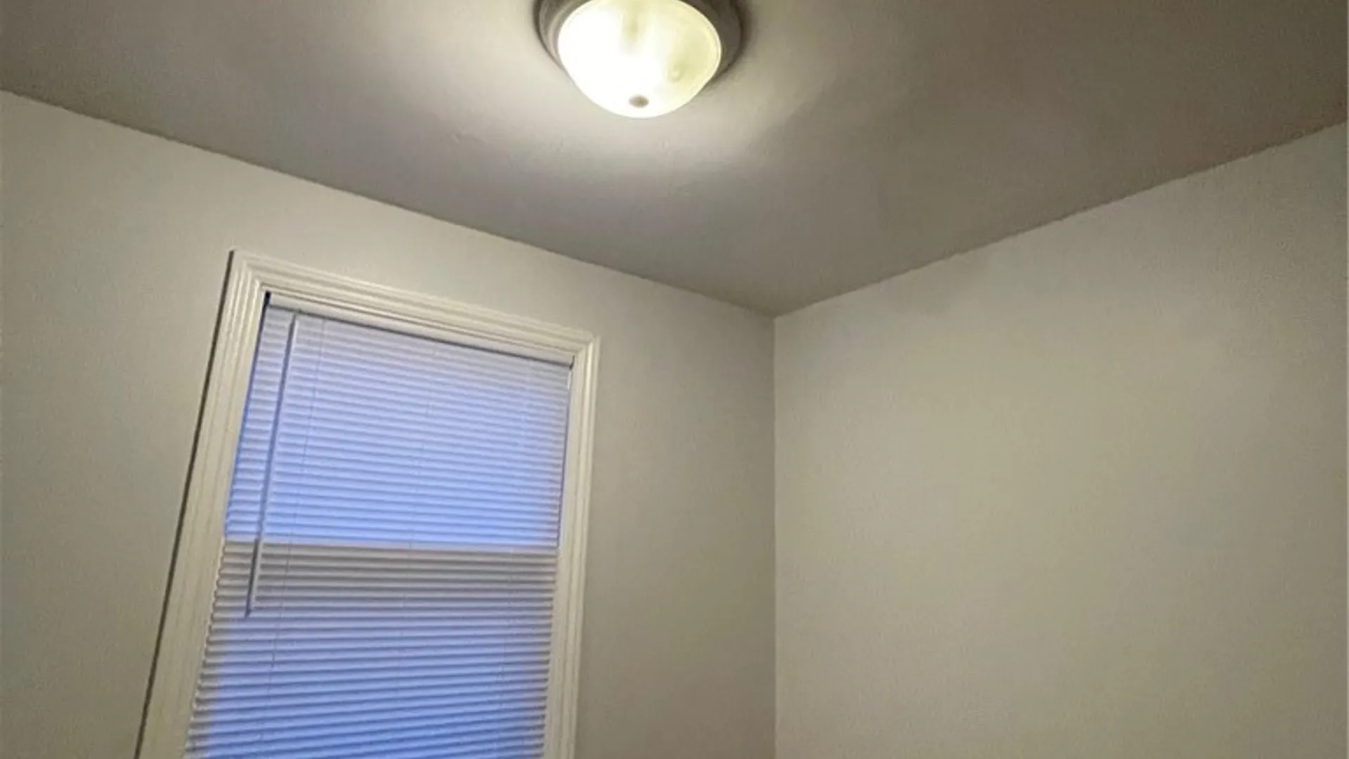 Property at 214 E Spruce Street, East Rochester, NY 14445 22