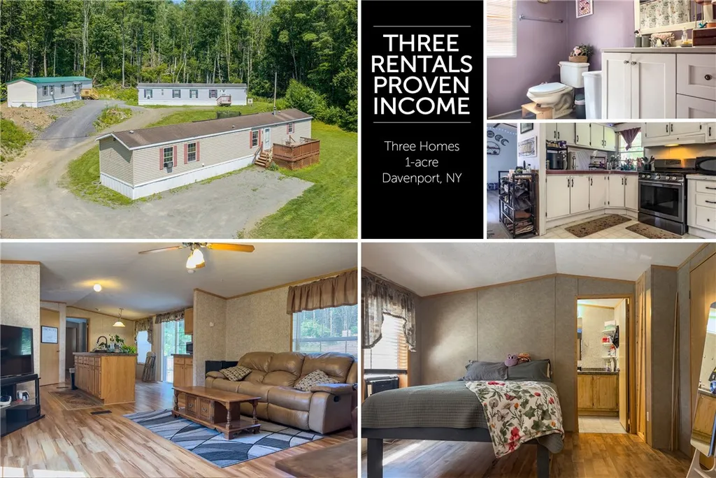 Property at 348 Vandeusen Road, Davenport, NY 13750