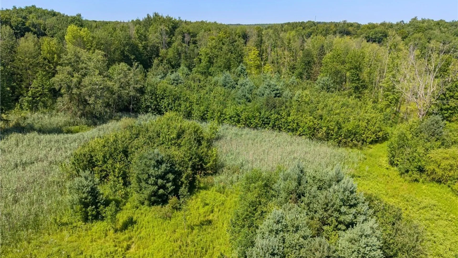 Property at 210 Goodfellow Road, Palermo, NY 13069 8