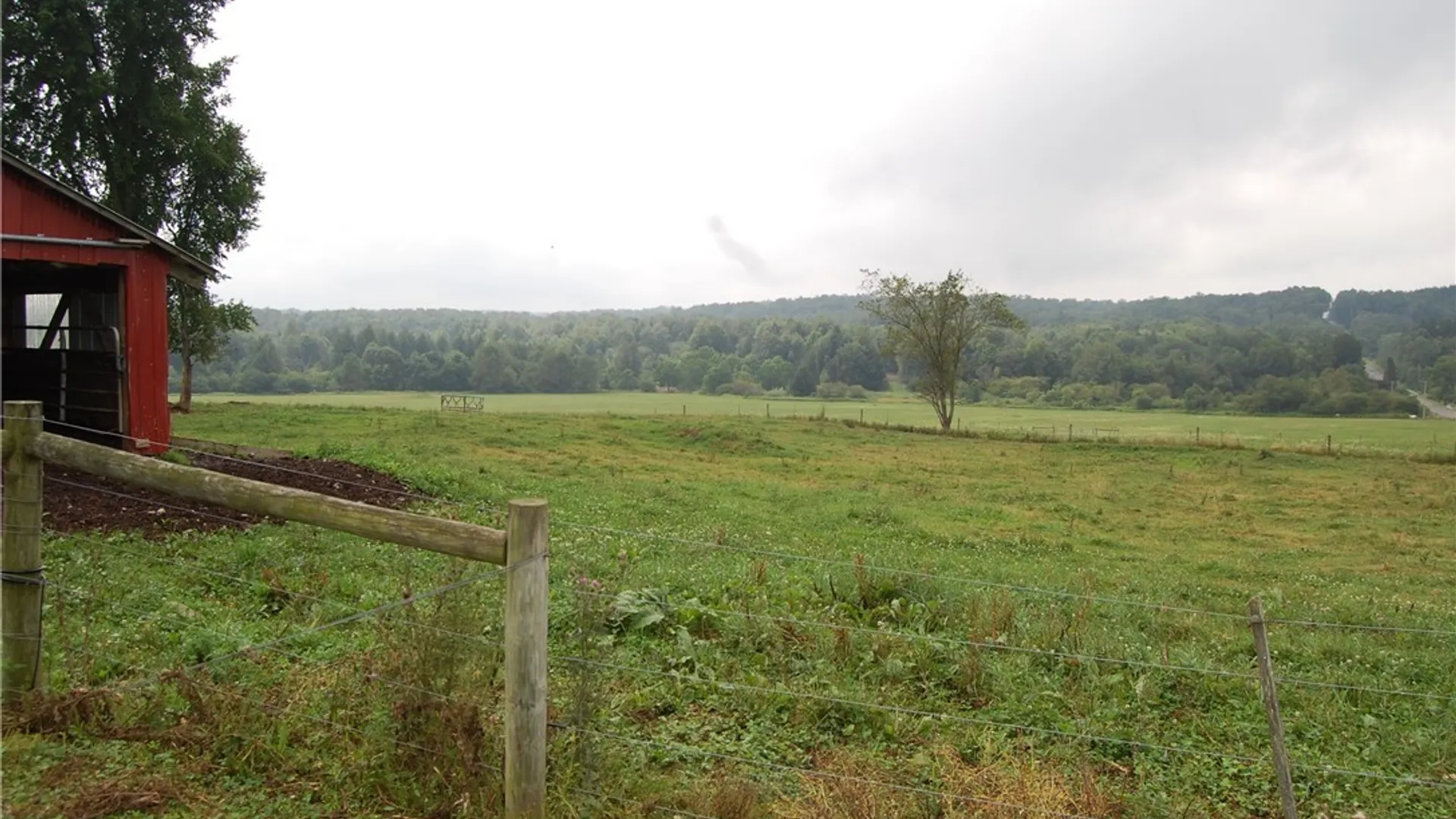 Property at 8105 Nettle Hill Road, Chautauqua, NY 14781 16