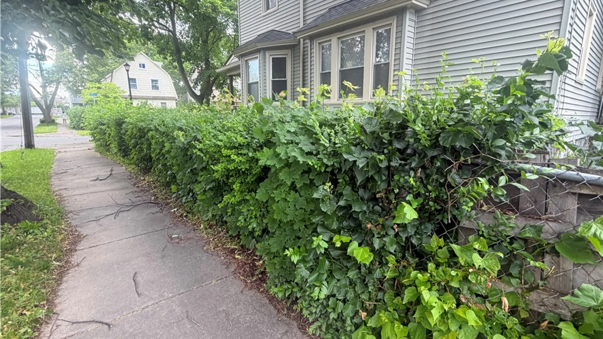 Property at 140 Garfield Street, Rochester, NY 14611 3