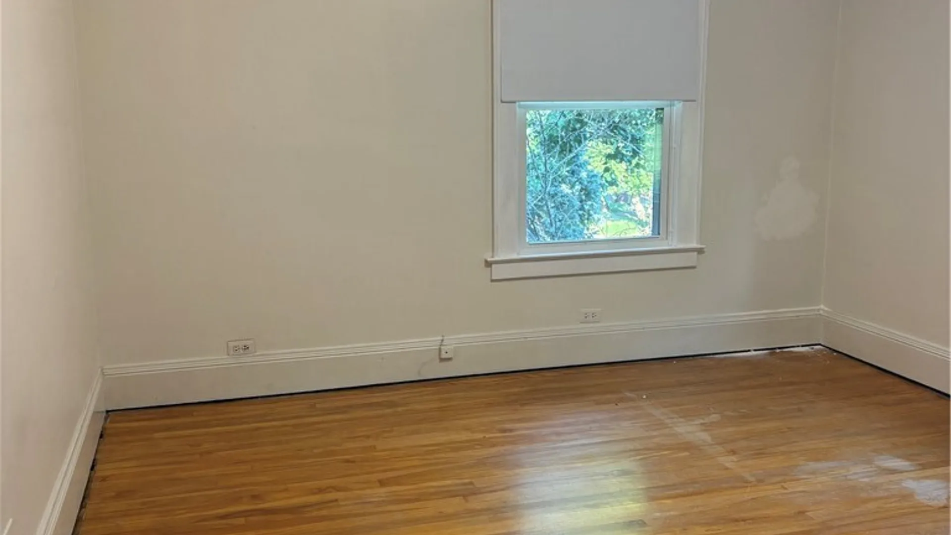 Property at 1911 S Geddes Street, Syracuse, NY 13207 18