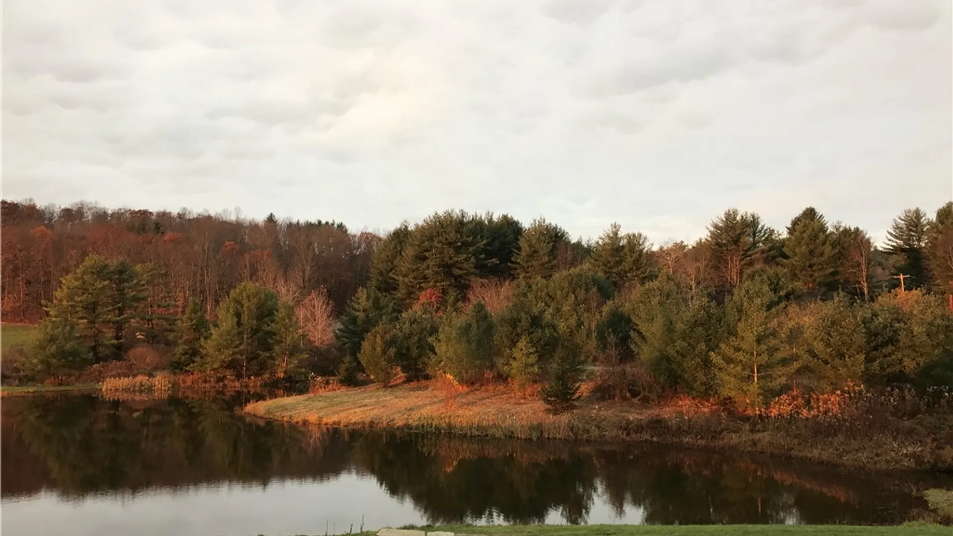 Property at 174 Fred Braun Road, Unadilla, NY 13849 34