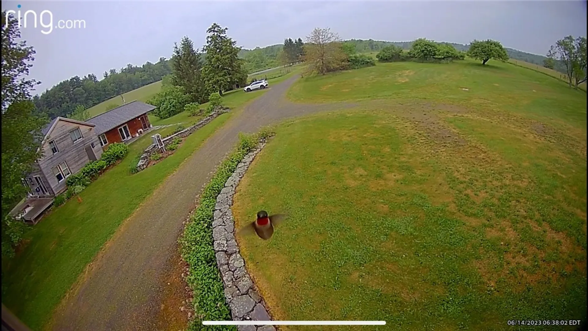 Property at 174 Fred Braun Road, Unadilla, NY 13849 35