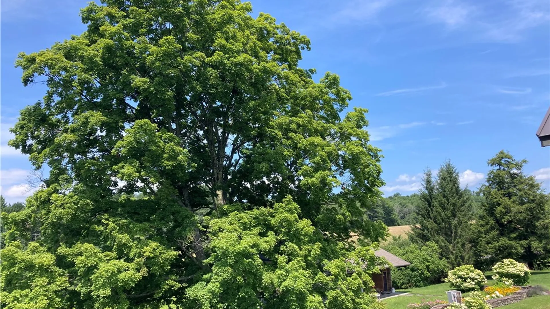 Property at 174 Fred Braun Road, Unadilla, NY 13849 5