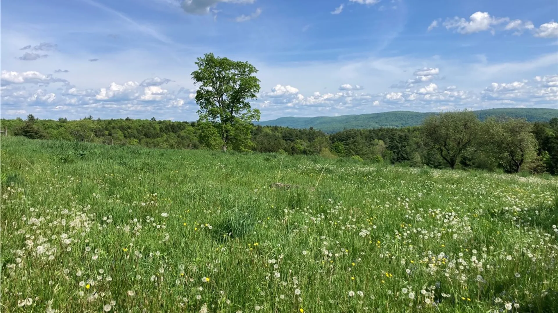 Property at 174 Fred Braun Road, Unadilla, NY 13849 28