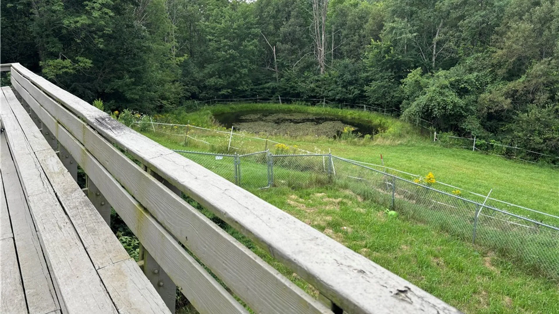 Property at 2314 Carson Road, Virgil, NY 13045 23