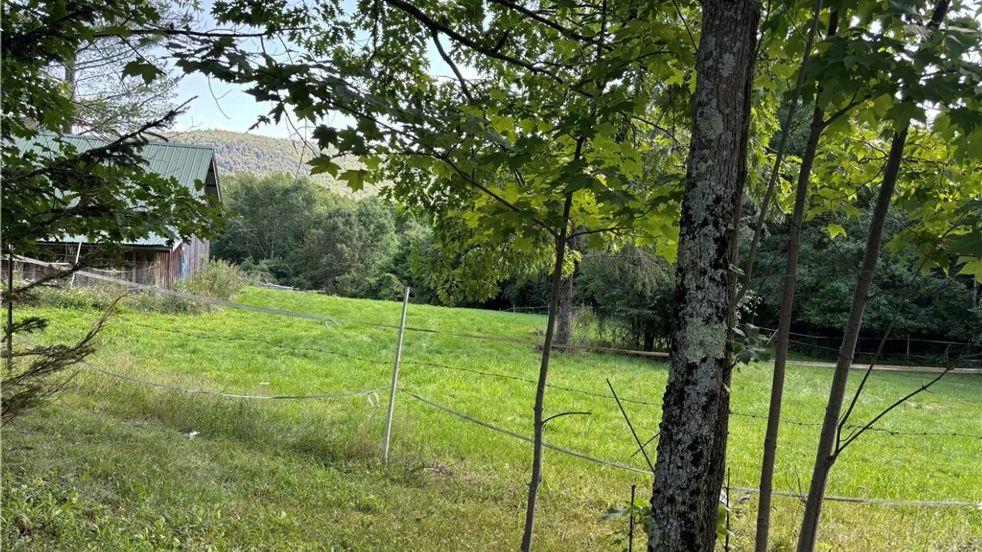 Property at 2314 Carson Road, Virgil, NY 13045 5