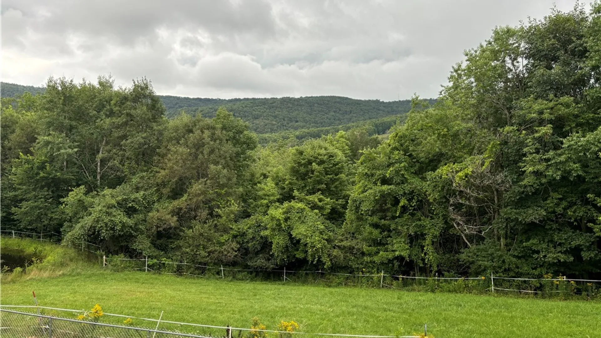 Property at 2314 Carson Road, Virgil, NY 13045 22