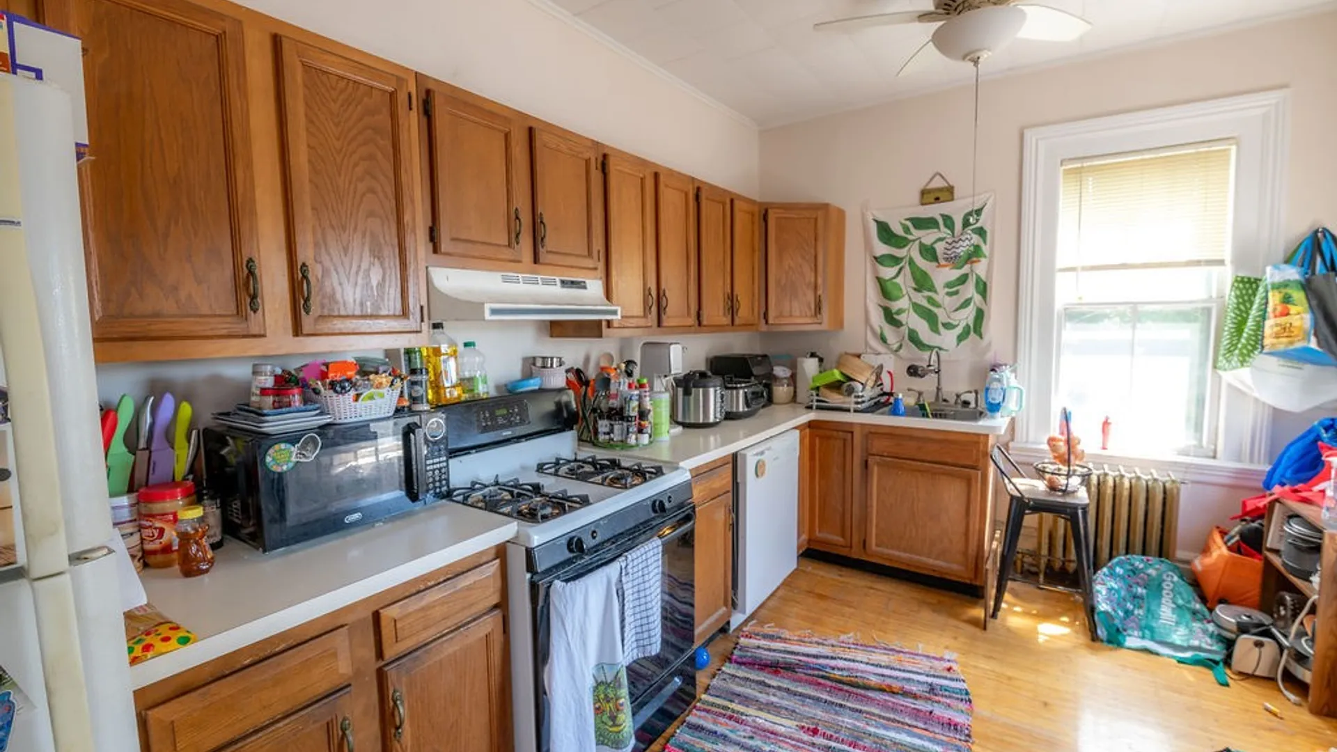 Property at 62 Rowley Street, Rochester, NY 14607 24
