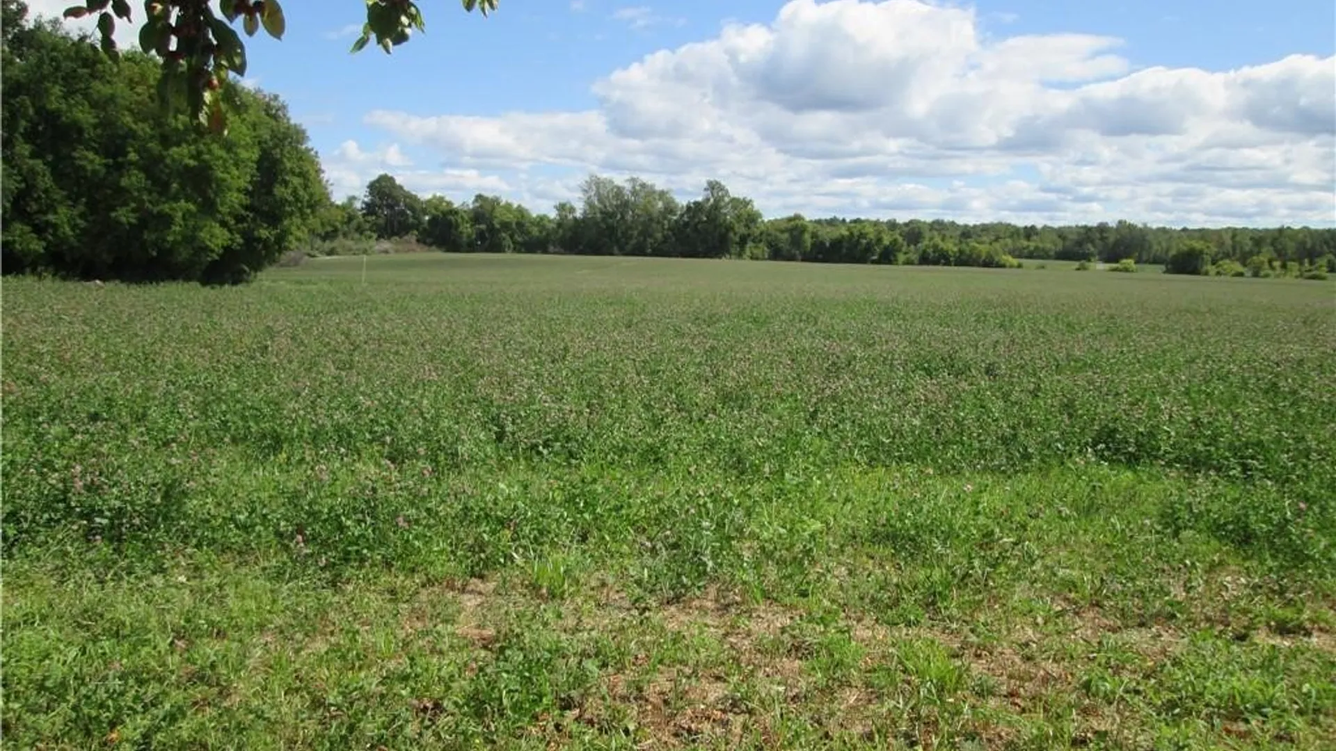Property at Westmoreland Road, Whitestown, NY 13492 6
