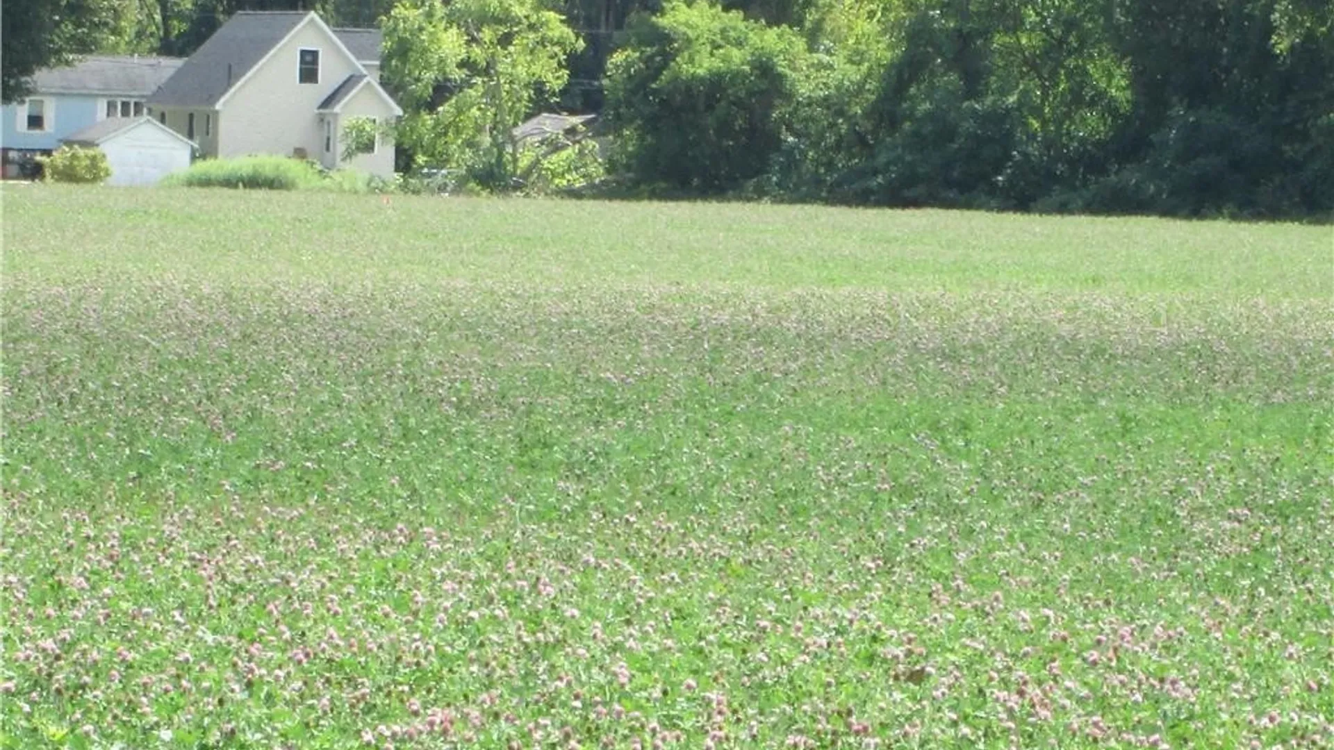 Property at Westmoreland Road, Whitestown, NY 13492 8