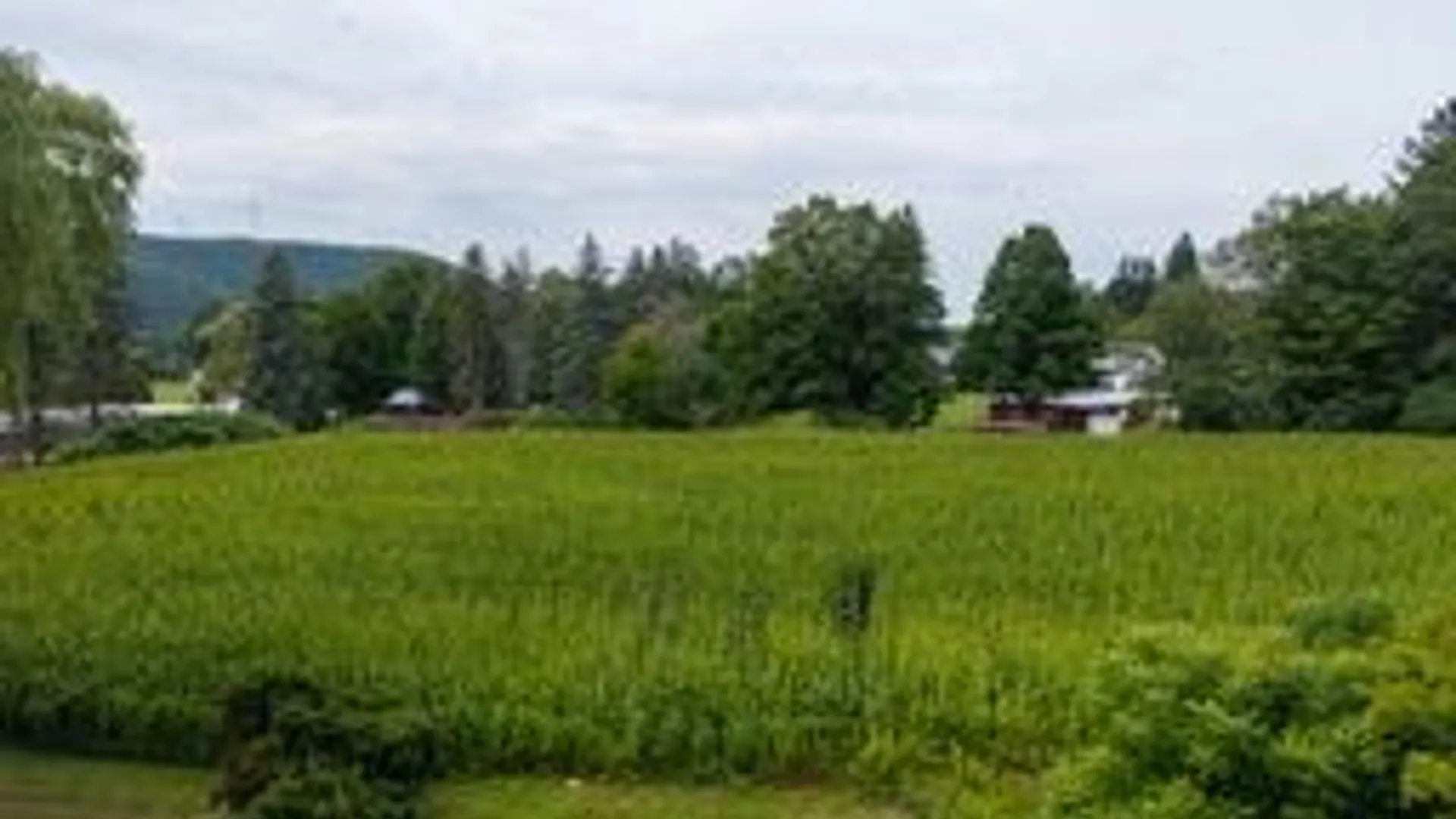 Property at Rt-371, Cohocton, NY 14826 8