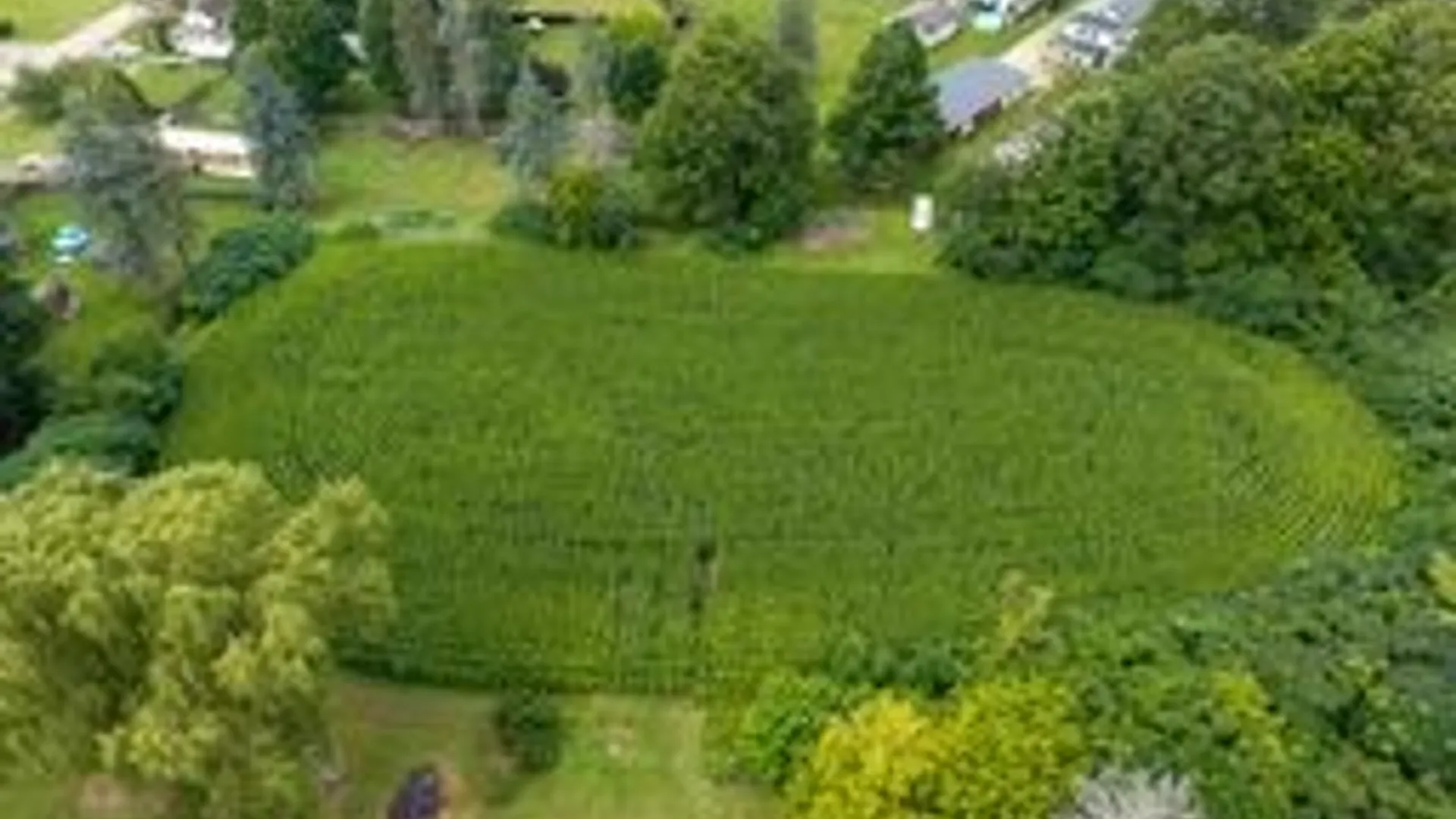 Property at Rt-371, Cohocton, NY 14826 18