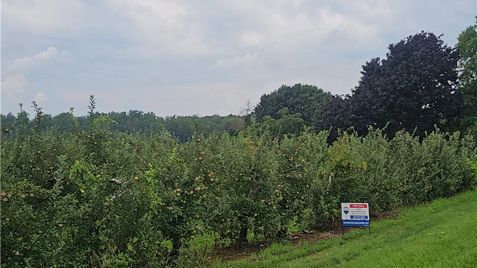 Property at 3120 Densmore Road, Gaines, NY 14411 11