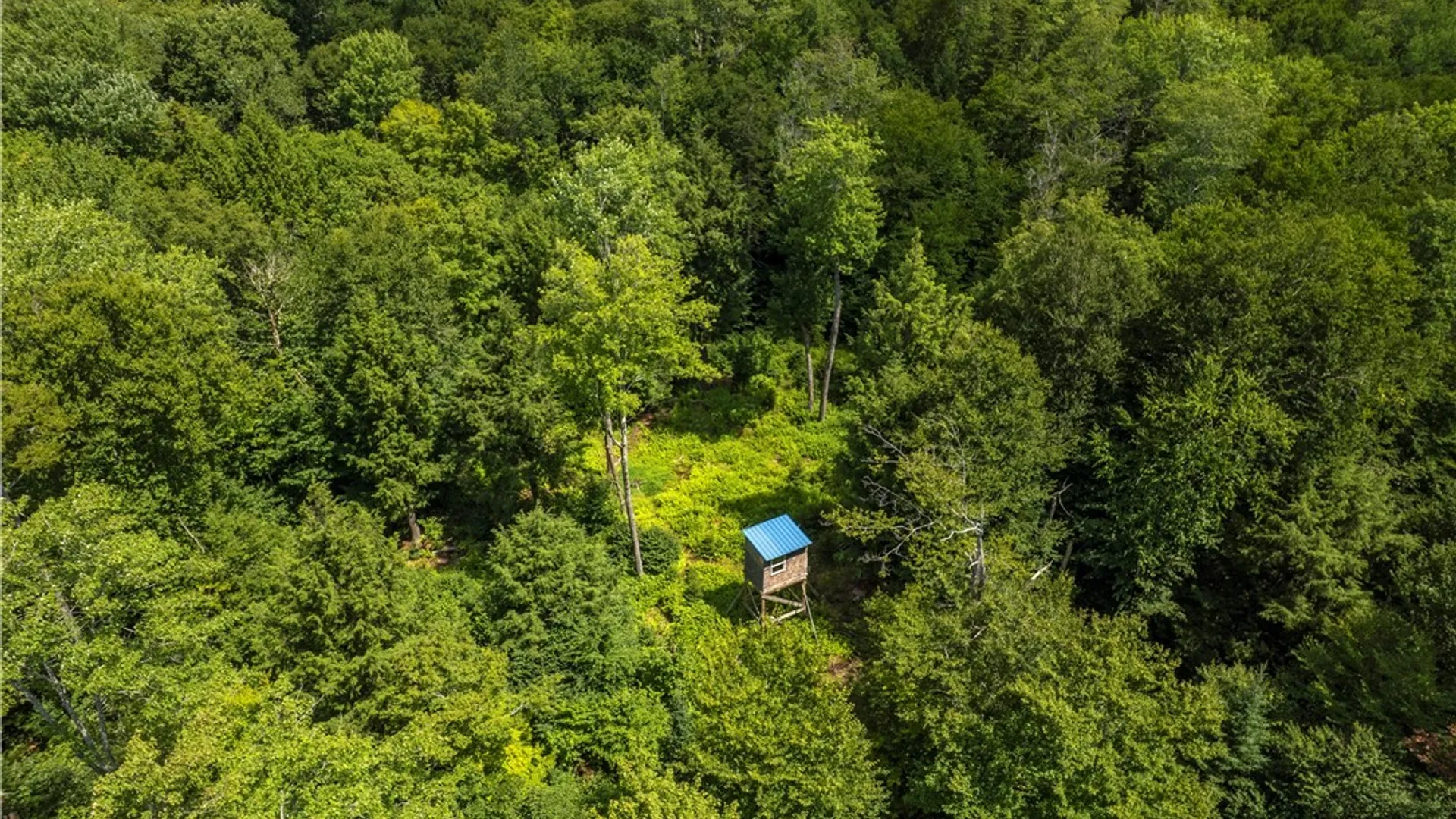 Property at 461 Billy Hamlin Road, Ohio, NY 13324 42