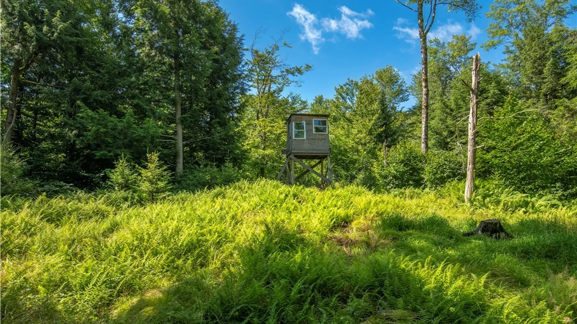 Property at 461 Billy Hamlin Road, Ohio, NY 13324 43