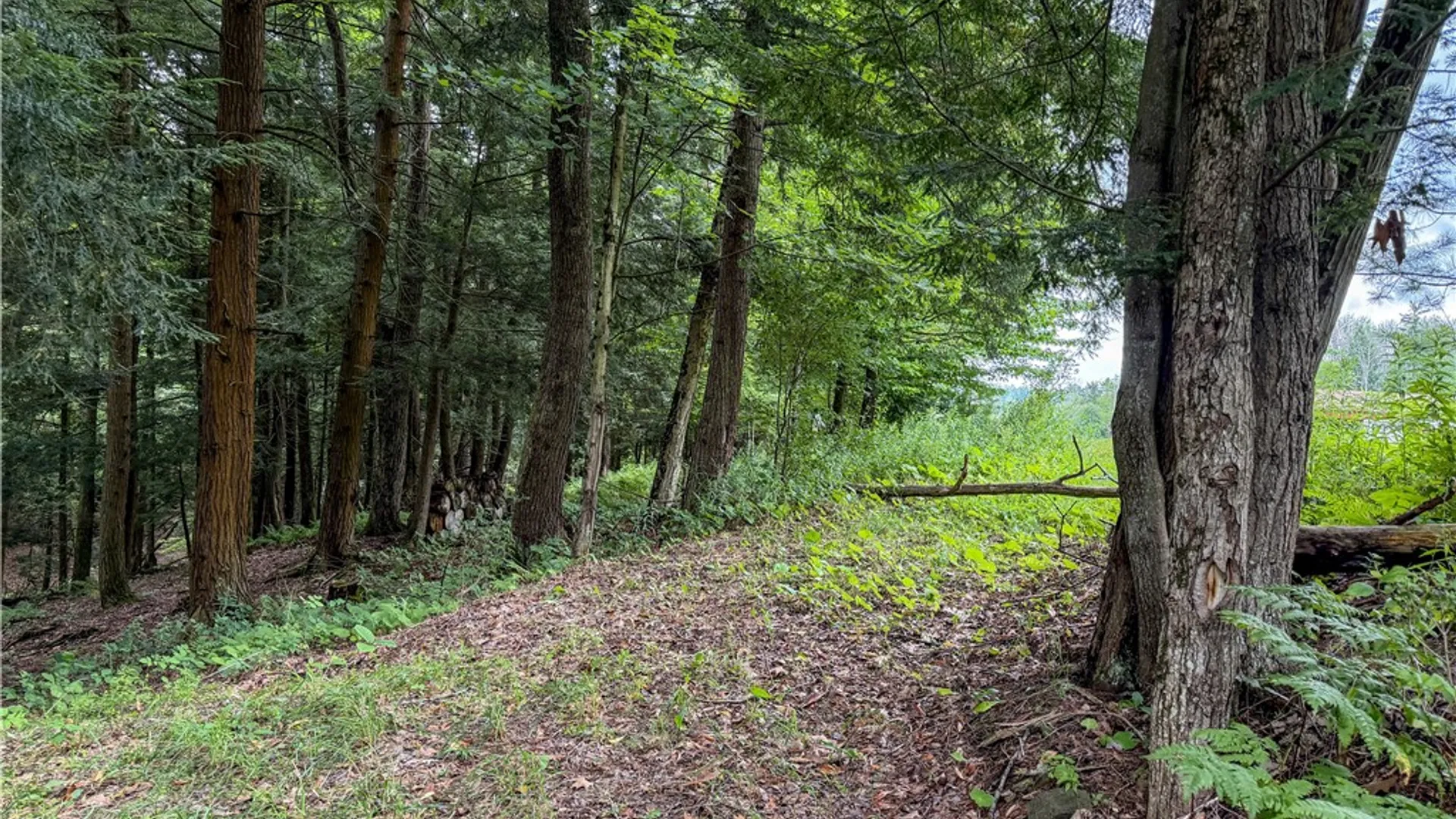 Property at WP1 Tucker Hill Road, Caneadea, NY 14744 24