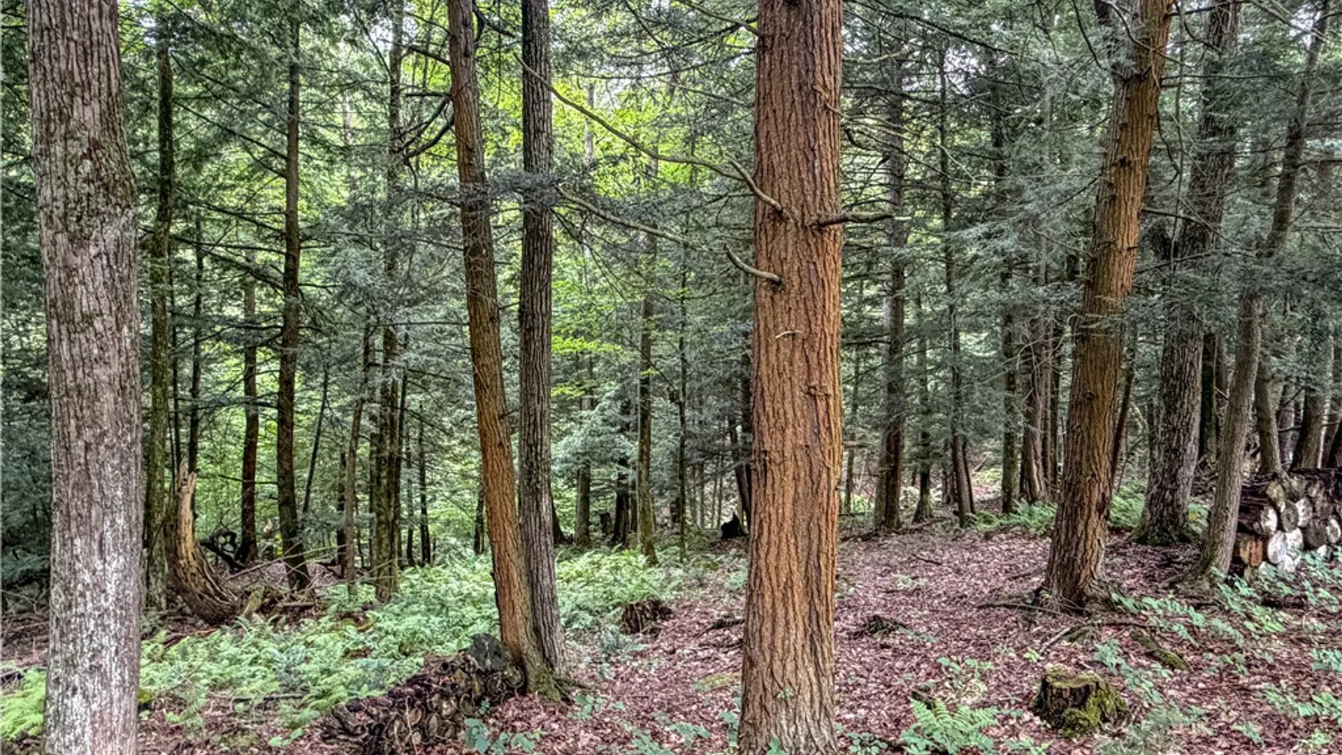 Property at WP1 Tucker Hill Road, Caneadea, NY 14744 25