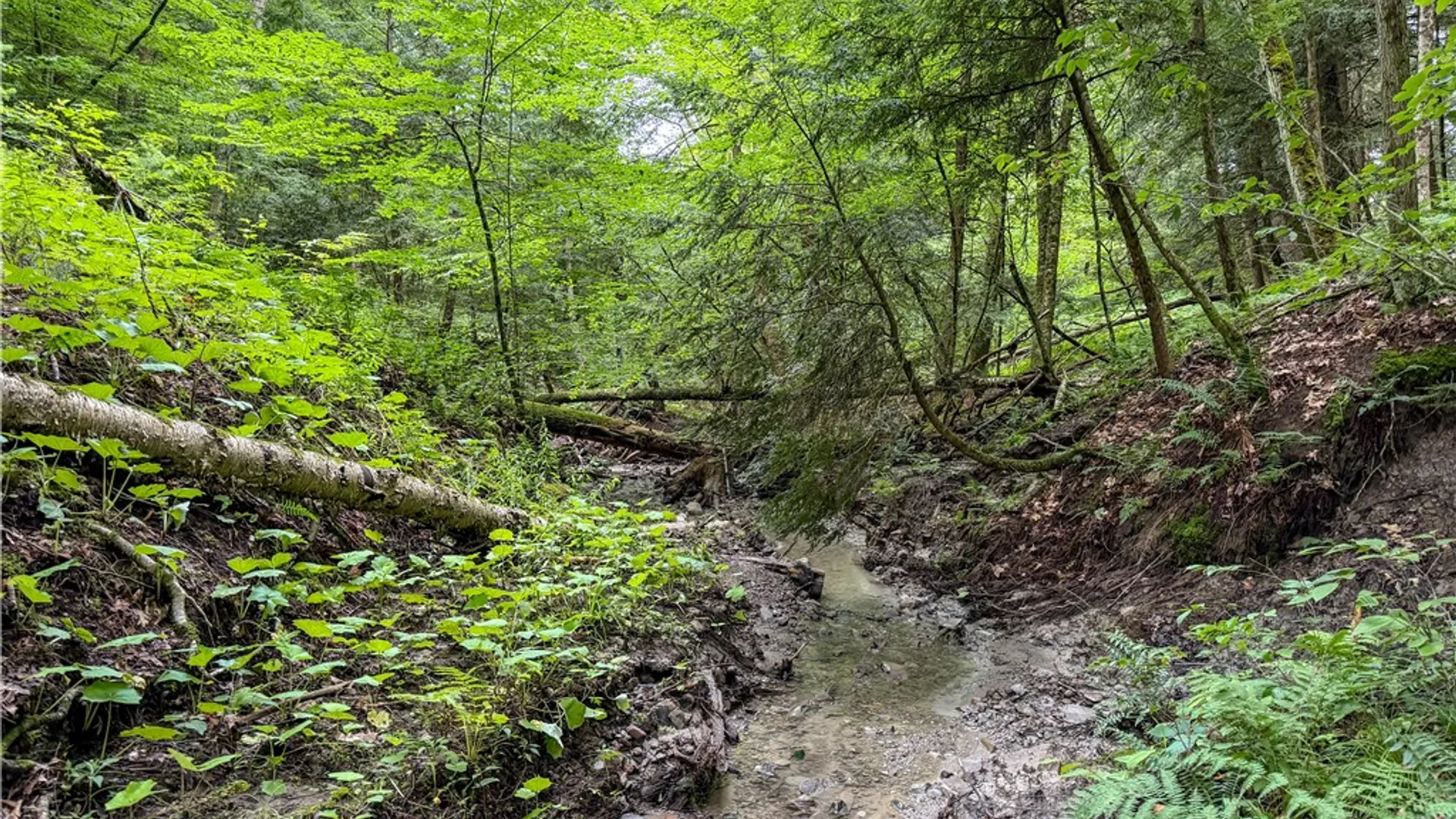 Property at WP1 Tucker Hill Road, Caneadea, NY 14744 19