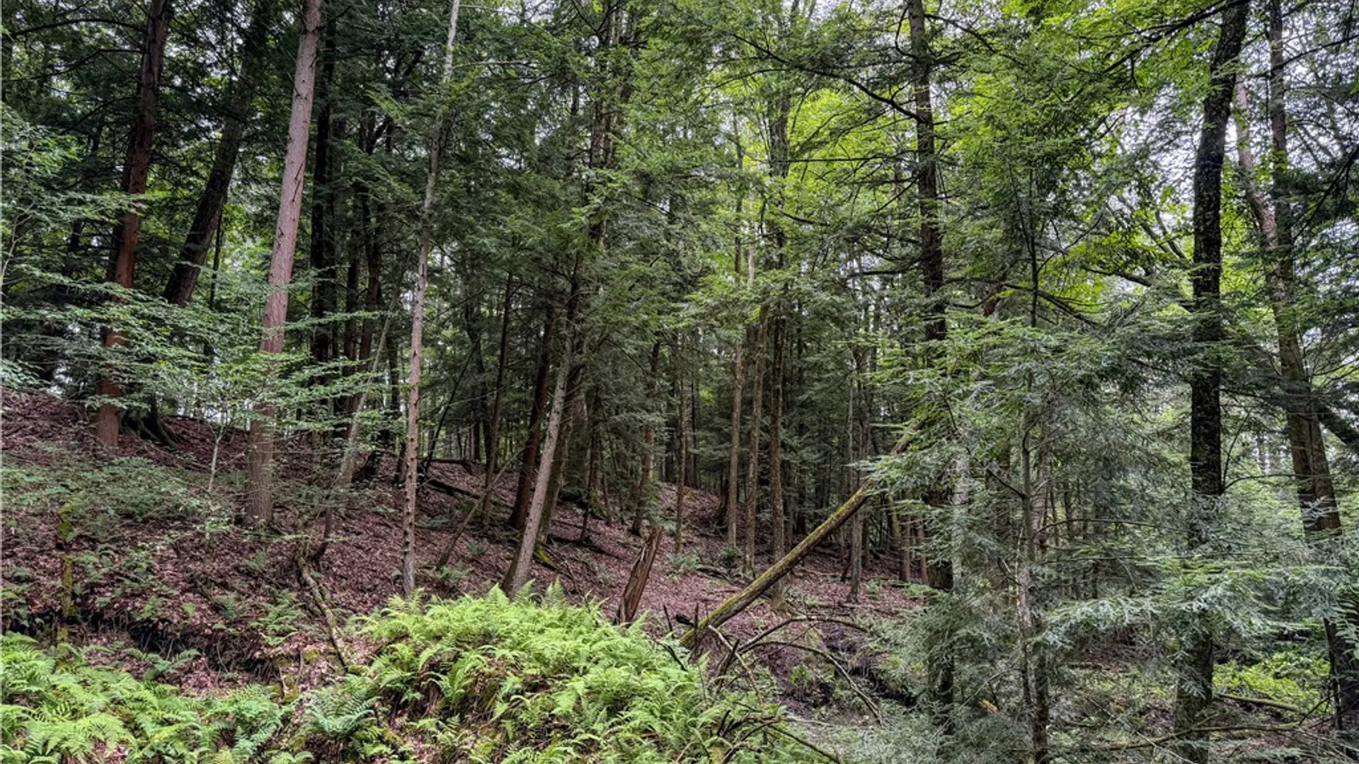 Property at WP1 Tucker Hill Road, Caneadea, NY 14744 20
