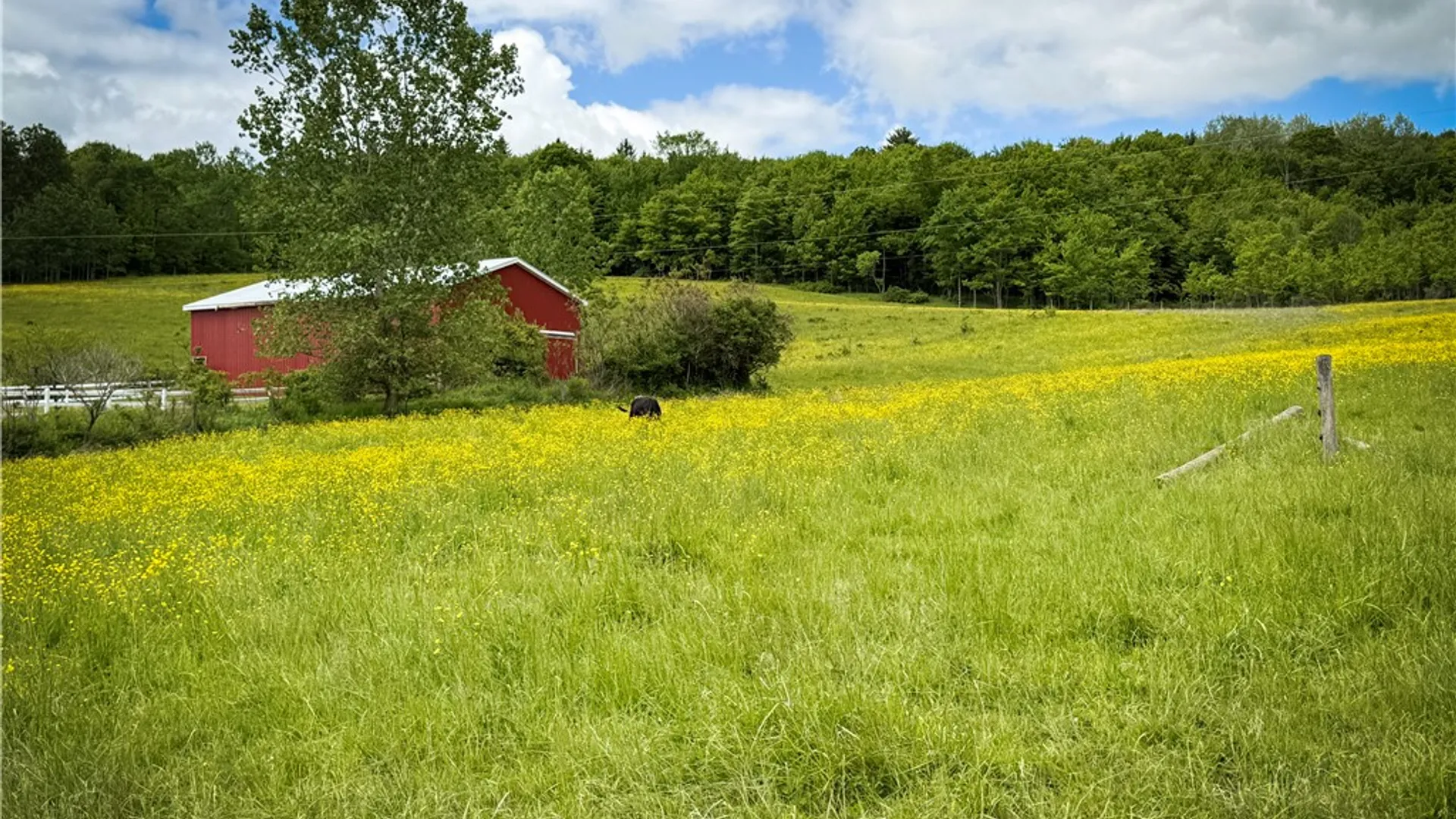 Property at V/L-2 Putt Hill Road, Chemung, NY 14825 12