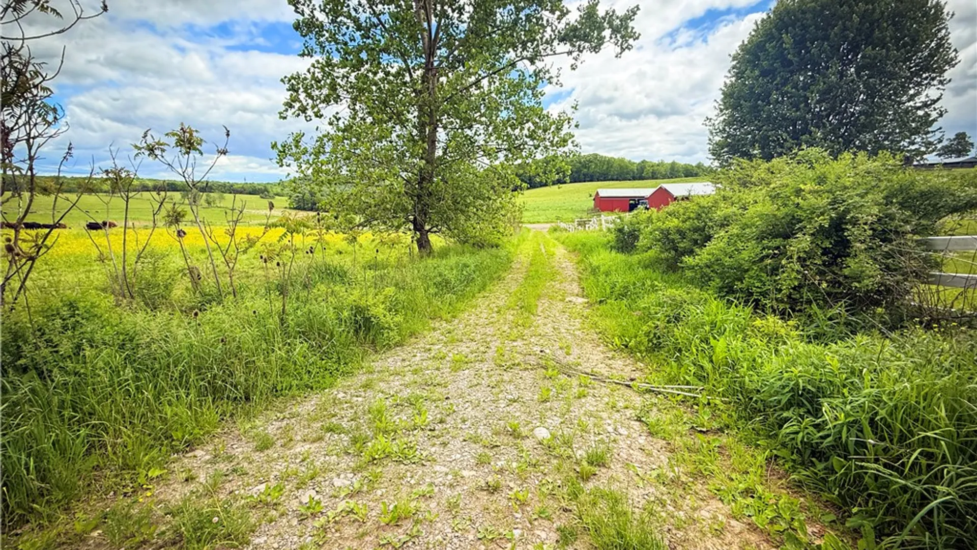 Property at V/L-2 Putt Hill Road, Chemung, NY 14825 25