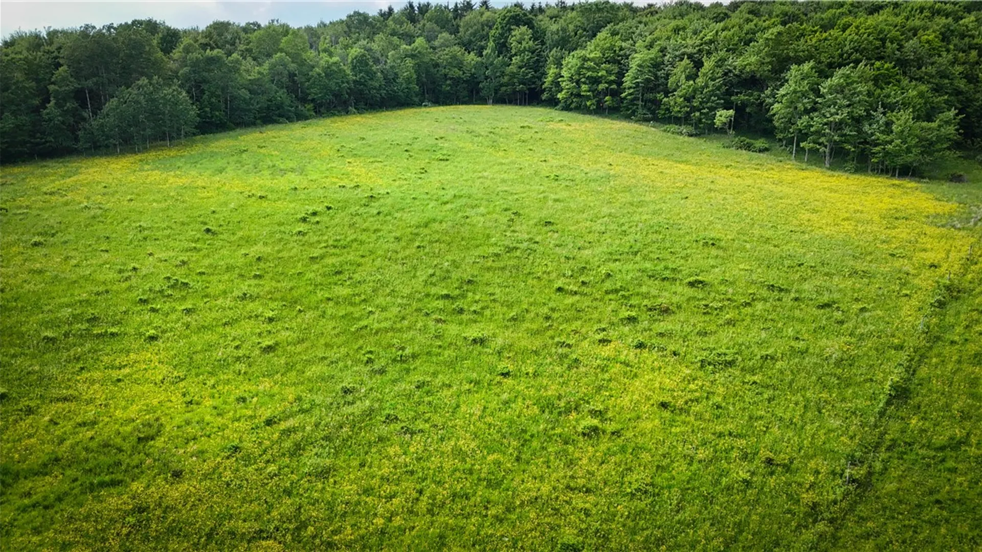 Property at V/L-2 Putt Hill Road, Chemung, NY 14825 26