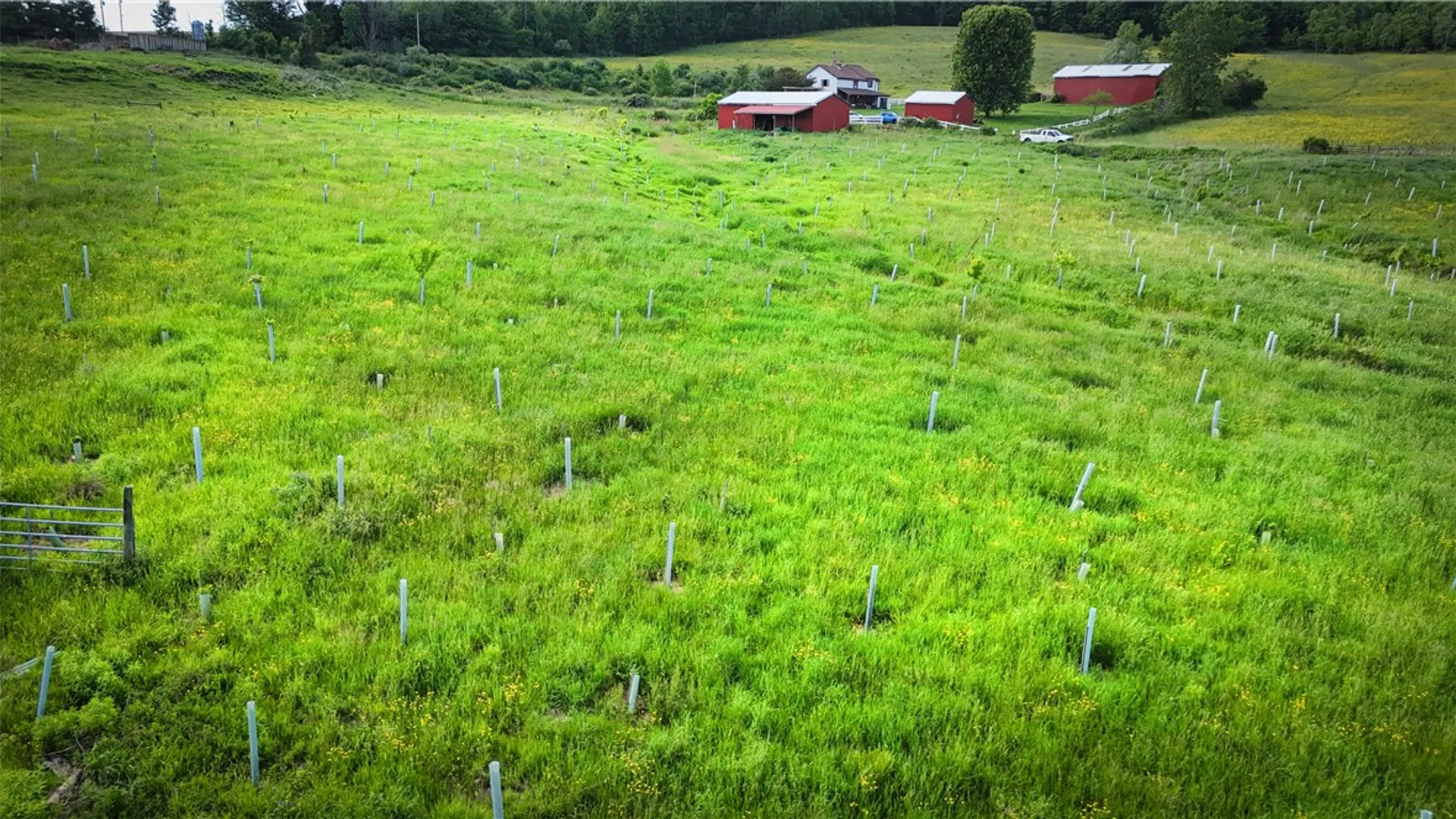 Property at V/L-3 Putt Hill Road, Chemung, NY 14825 10
