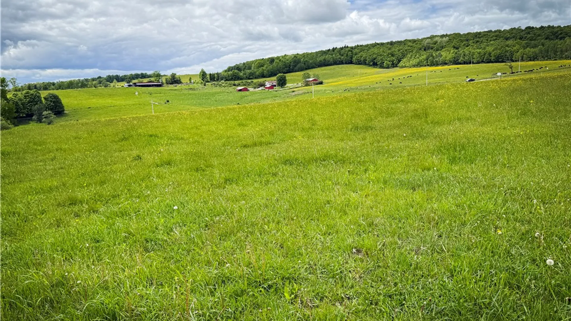 Property at V/L-4 Putt Hill Road, Chemung, NY 14825 21
