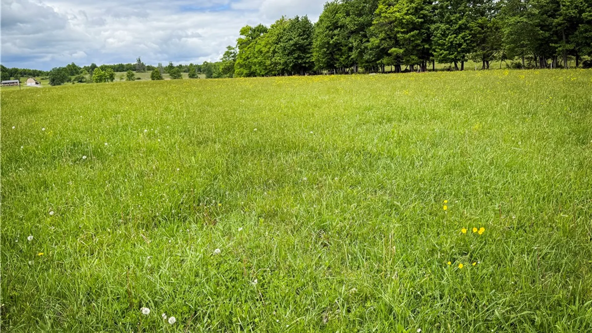 Property at V/L-4 Putt Hill Road, Chemung, NY 14825 22